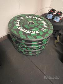 Dischi Bumper Xenios 100kg