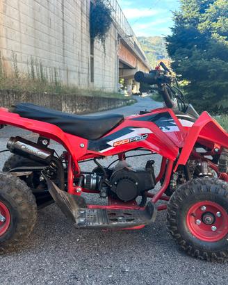 Mini quad 50cc