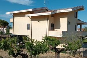 304 Villa unifamiliare Collecorvino