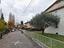 Immagine 9