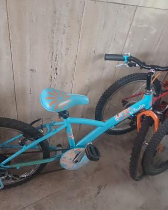 Bicicletta