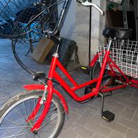 Bicicletta triciclo con cestino