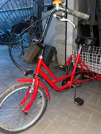 Bicicletta triciclo con cestino