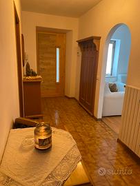 Affitti brevi appartamento zona Primiero