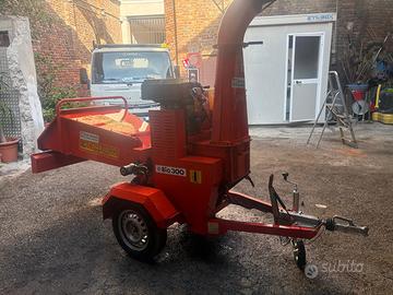 Bio 300 Caravaggi 20cv benzina