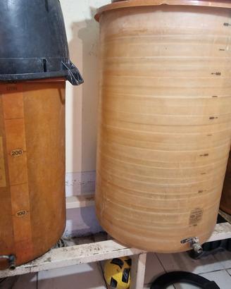 articoli per la vendemmia 