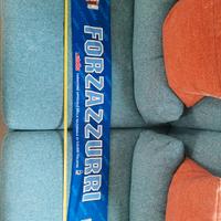 :RARISSIMA Sciarpa Ufficiale NAZIONALE 2006