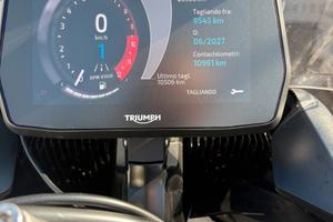 Tiger 900 gt pro