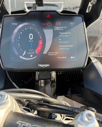 Tiger 900 gt pro