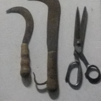 Roncola Forbici Roncolino Vintage