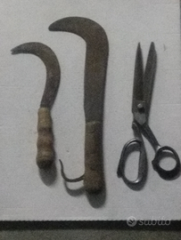 Roncola Forbici Roncolino Vintage