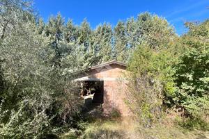 BOX A ASSISI