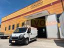 peugeot-boxer-coibentato-frigo-atp