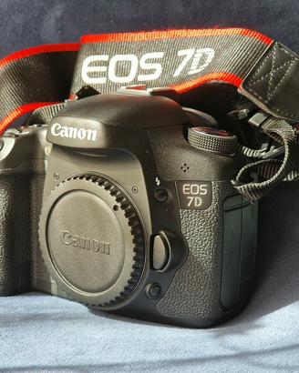 Canon EOS 7D - 6377 scatti