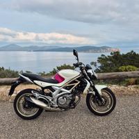 suzuki gladius. 650 lo