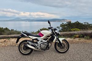suzuki gladius. 650 lo