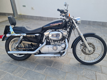 Harley davidson 883 custom