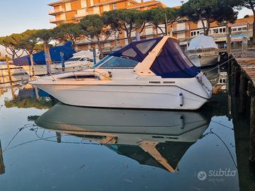 Barca natante Sea Rey  270 