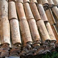 Tegole stilo antiche 