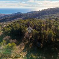 TER. RESIDENZIALE A CIPRESSA