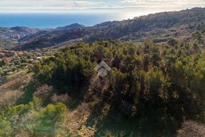 TER. RESIDENZIALE A CIPRESSA