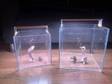 acquari ed accessori