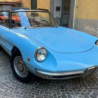 Alfa romeo spider osso di seppia 1750