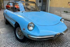 Alfa romeo spider osso di seppia 1750