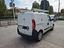 Immagine 12