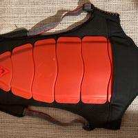 Paraschina Dainese