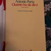 Antonio Porta, Quanto ho da dirvi -Poesie