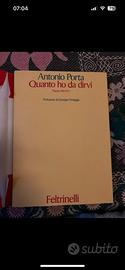 Antonio Porta, Quanto ho da dirvi -Poesie