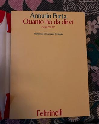 Antonio Porta, Quanto ho da dirvi -Poesie
