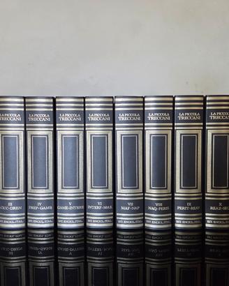 Lotto Treccani completo (3 collane diverse)