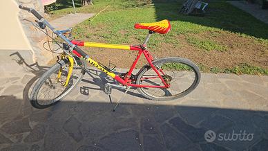 bicicletta