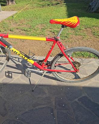 bicicletta