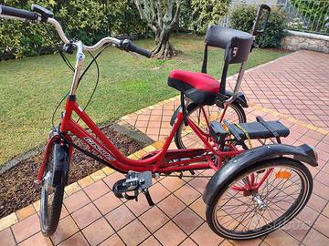 Triciclo elettrico pedalata assistita