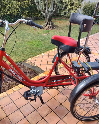Triciclo elettrico pedalata assistita