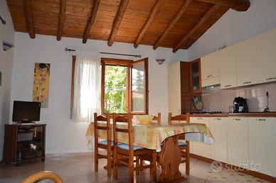 Vacanze estate 2026 san teodoro