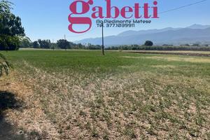 Terreno Agricolo Raviscanina [Cod. rif 3088983VCG]