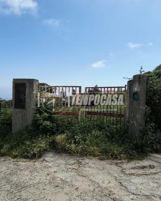 Terreno agricolo di 1500mq più deposito servito da