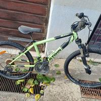 Bicicletta 24 da ragazzo/a 