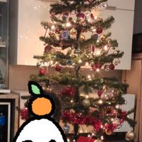 albero natale circa 1.70m