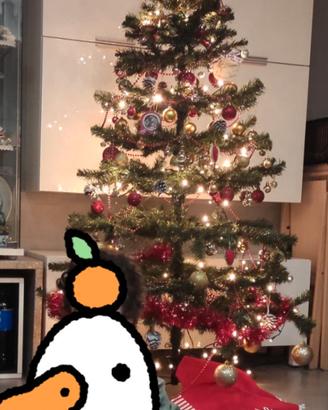 albero natale circa 1.70m