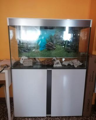 Acquario Ciano 240 litri completo e già pronto