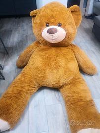 orso grandissimo