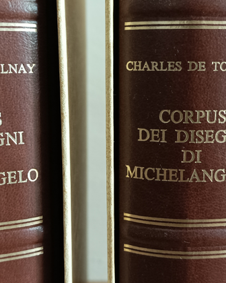 Disegni di Michelangelo Buonarroti