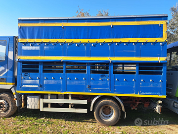 Cassa trasporto bestiame