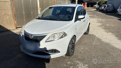 Lancia Ypsilon 1.2 69 CV 5 porte 2016 USATO