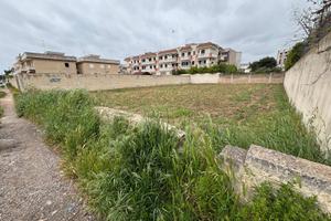 Terreno edificabile - Palagiano